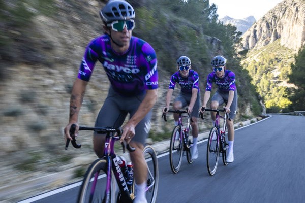 DSM-team